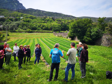 Una girandulata in Capicorsu : a valle di Siscu