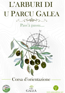 Maestri in furmazione cù a Corsa d'Orientazione Maestri in furmazione cù a Corsa d'Orientazione