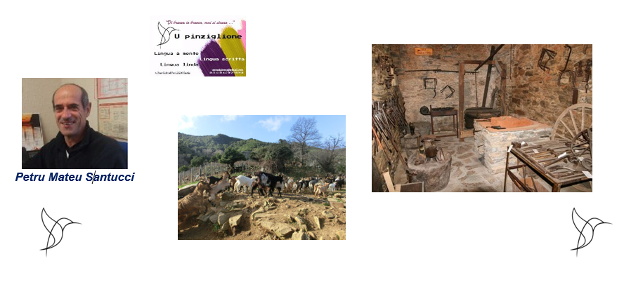 Ghjurnata in Cervioni in giru à u pasturalisimu - 28 / 04 / 18 Ghjurnata in Cervioni in giru à u pasturalisimu - 28 / 04 / 18