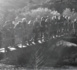 U Pinziglione in a Valle di Luri